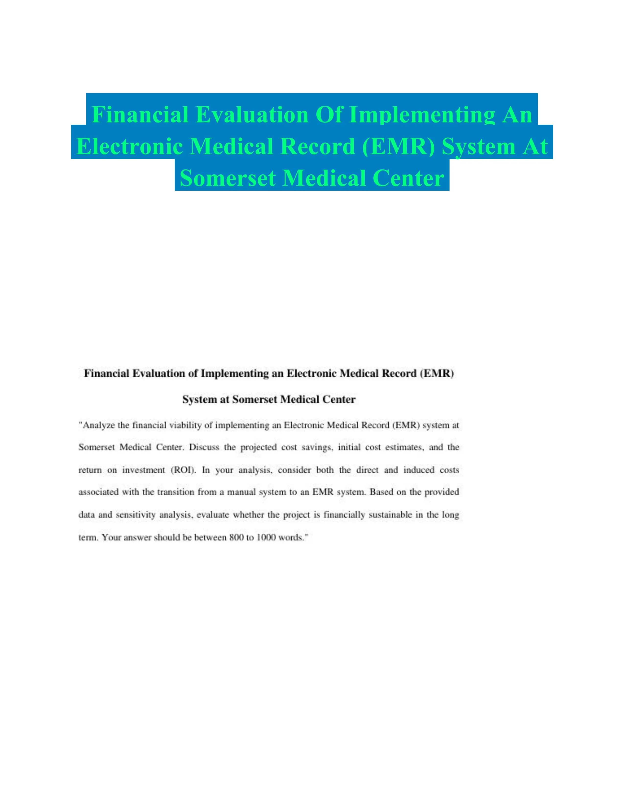 Financial Evaluation Of Implementing An Electronic Medical Record (EMR) System At Somerset Medical Center