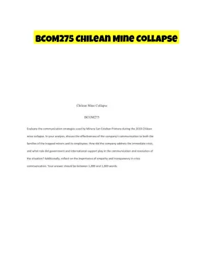 BCOM275 Chilean Mine Collapse