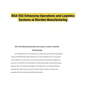 BSA 502 Enhancing Operations and Logistics Systems at Riordan Manufacturing