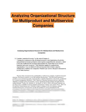 Analyzing Organizational Structure for Multiproduct and Multiservice Companies
