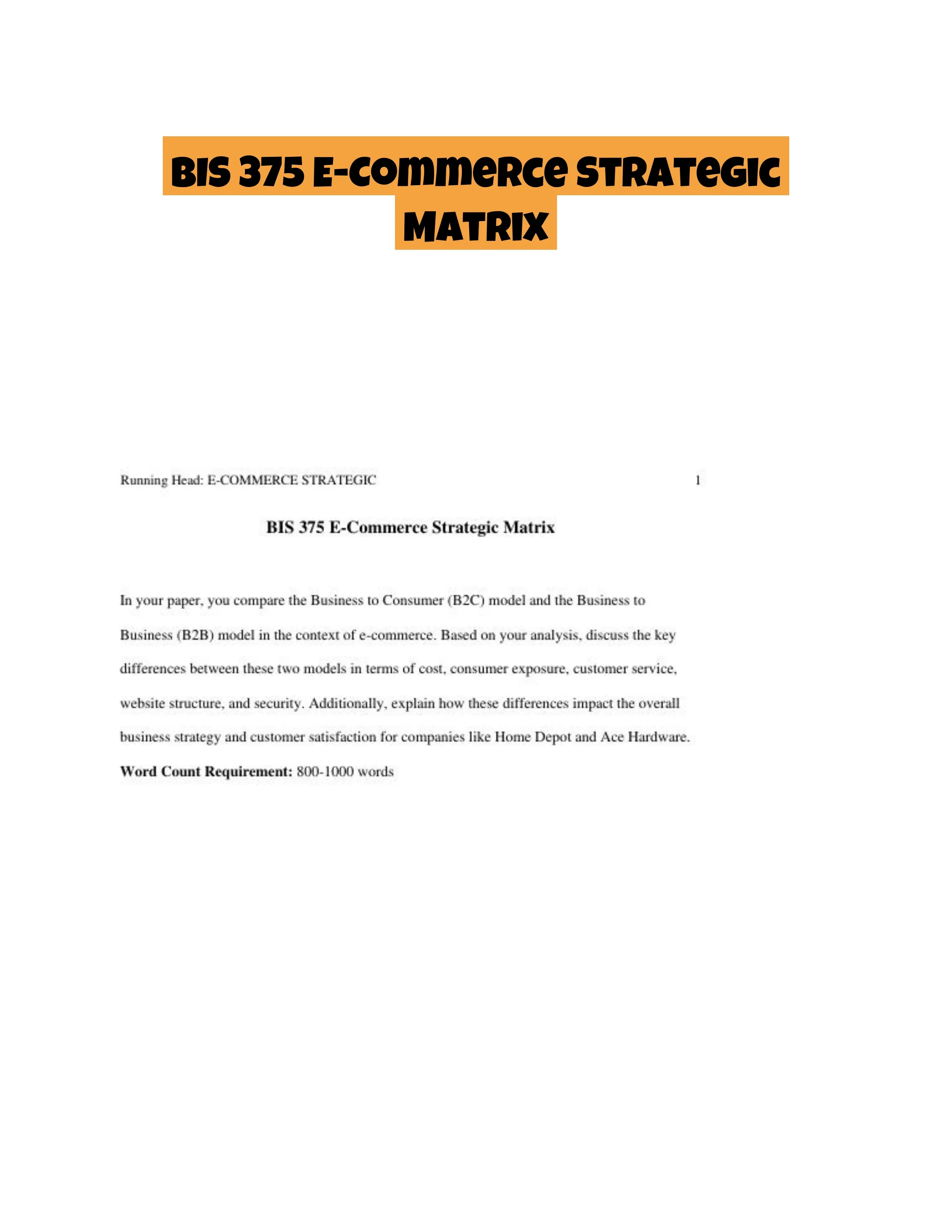 BIS 375 E-Commerce Strategic Matrix