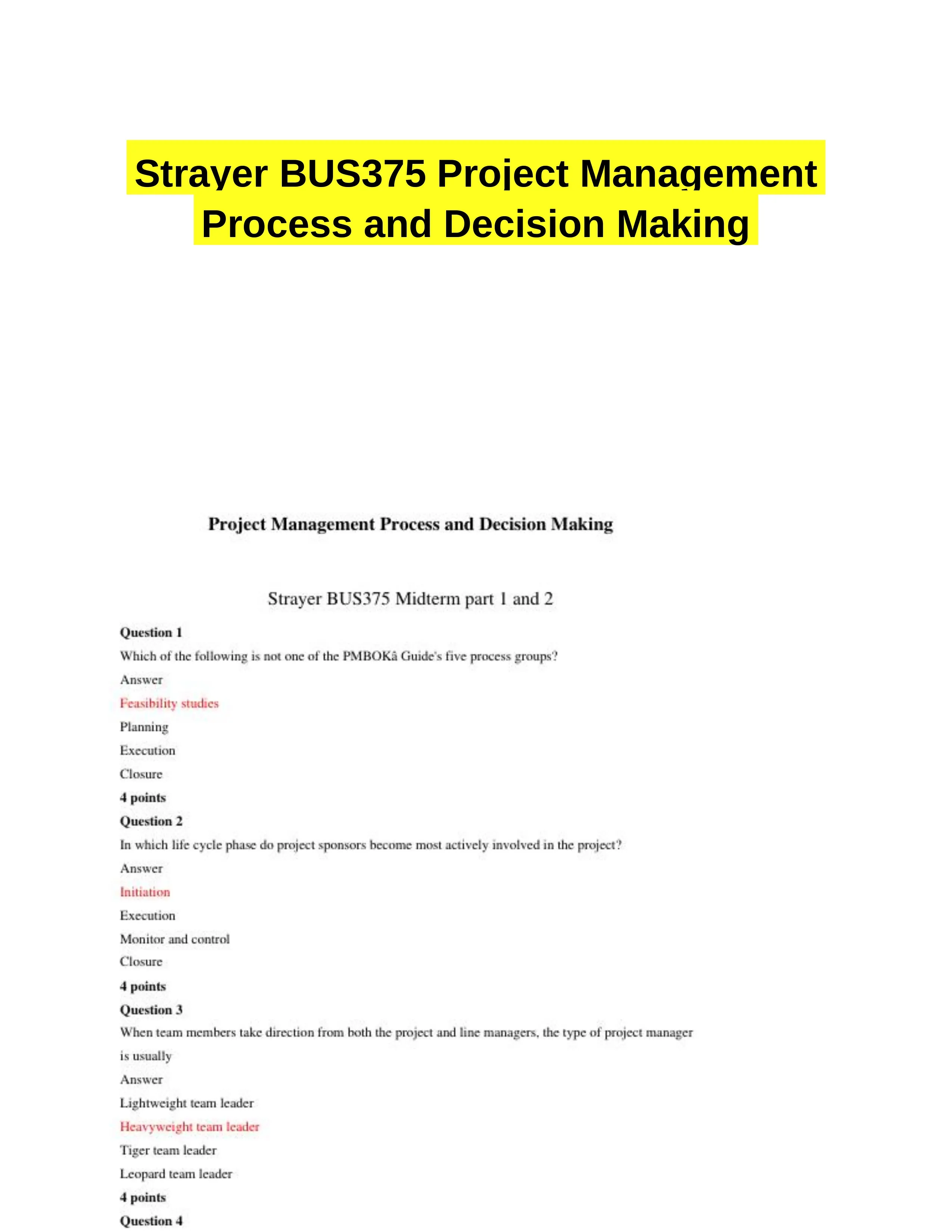 Strayer BUS375 Project Management Process and Decision Making