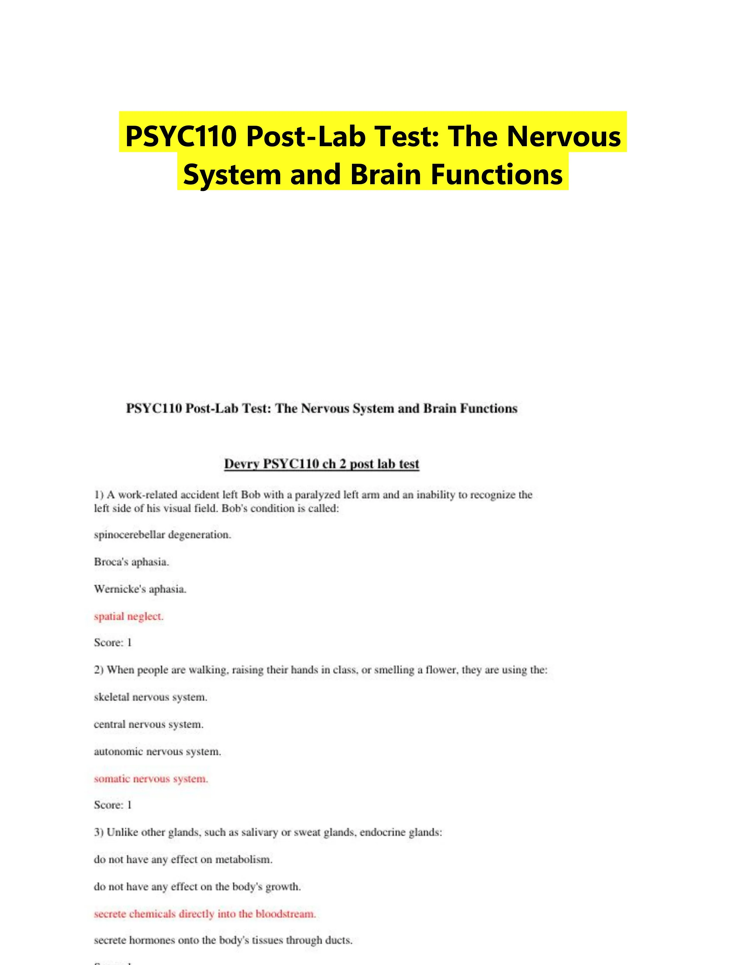 PSYC110 Post-Lab Test: The Nervous System and Brain Functions
