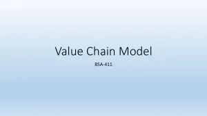 Value Chain Model - BSA-411
