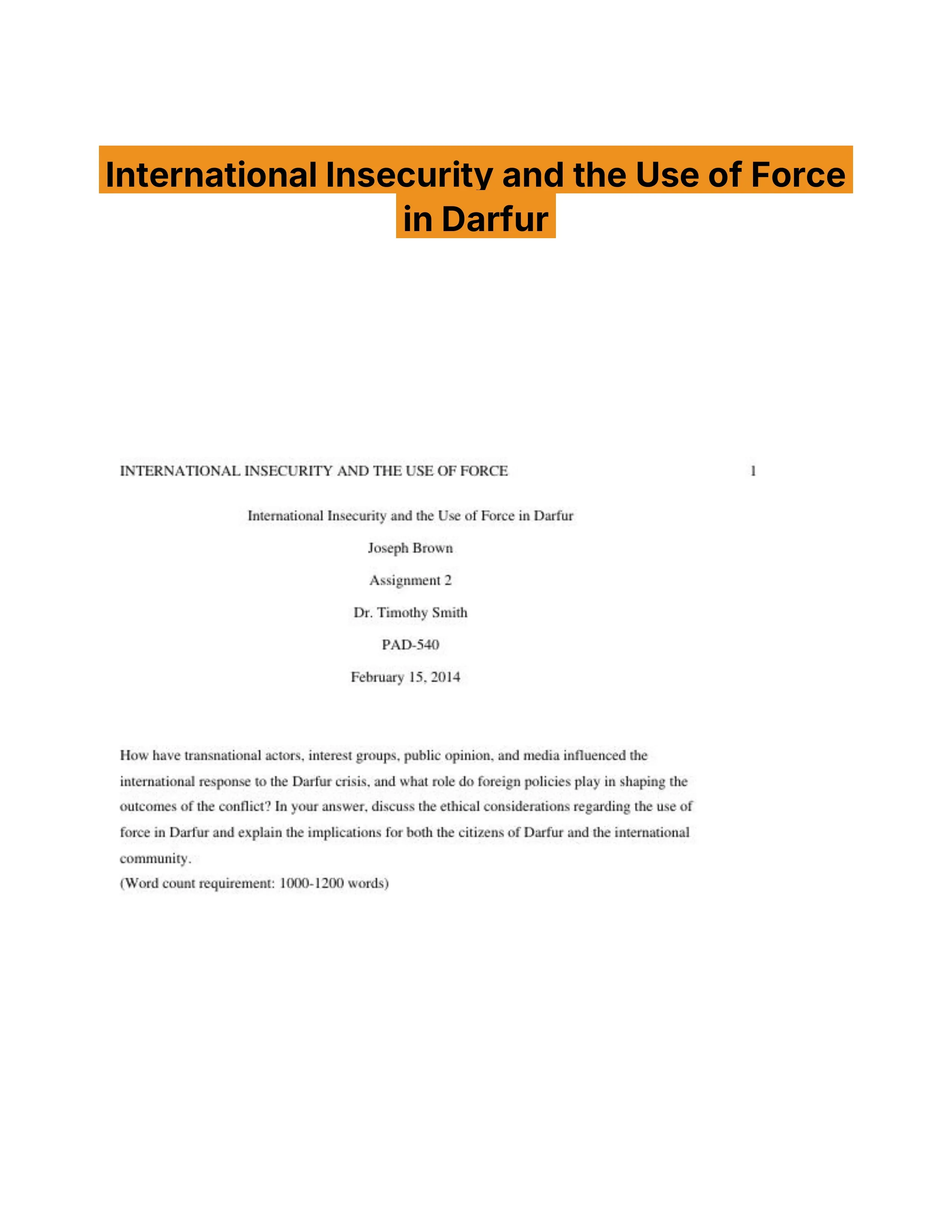 International Insecurity and the Use of Force in Darfur