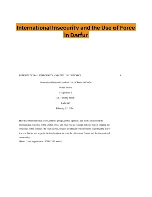 International Insecurity and the Use of Force in Darfur