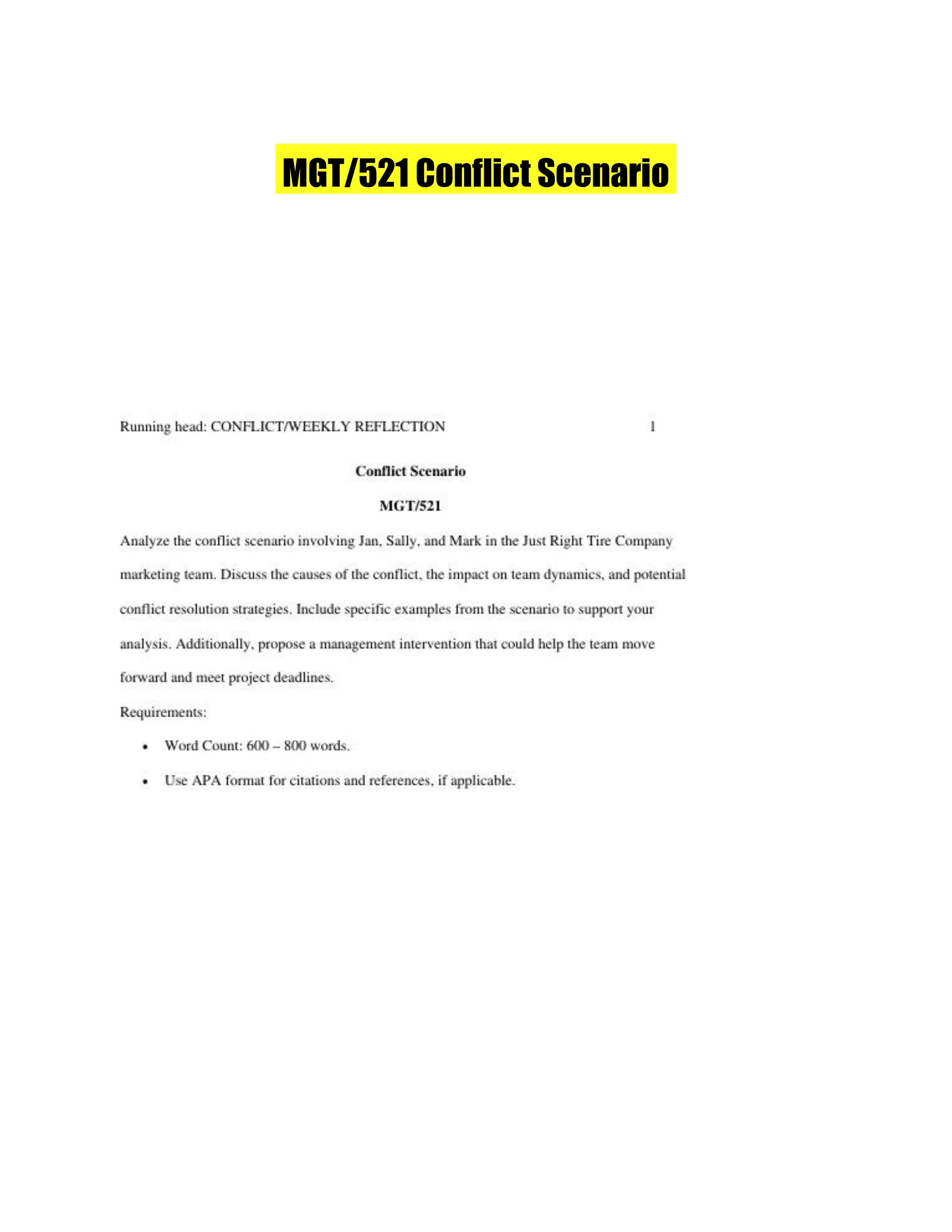 MGT/521 Conflict Scenario