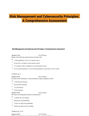 Risk Management and Cybersecurity Principles: A Comprehensive Assessment