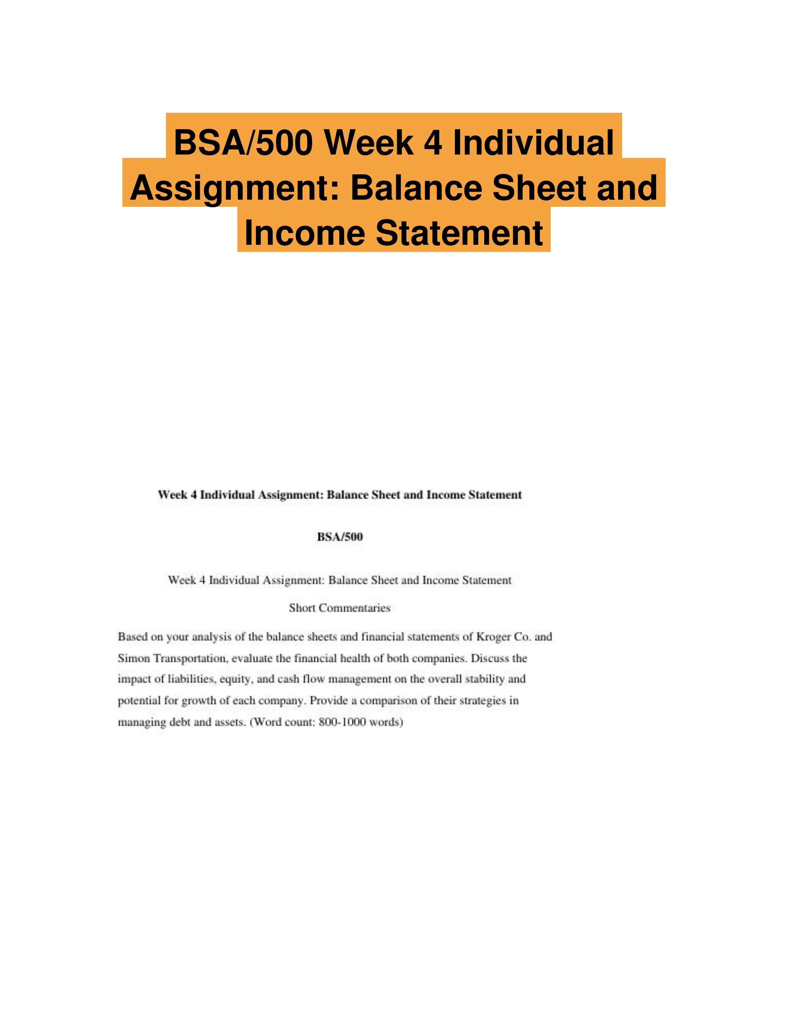 BSA/500 Week 4 Individual Assignment: Balance Sheet and Income Statement