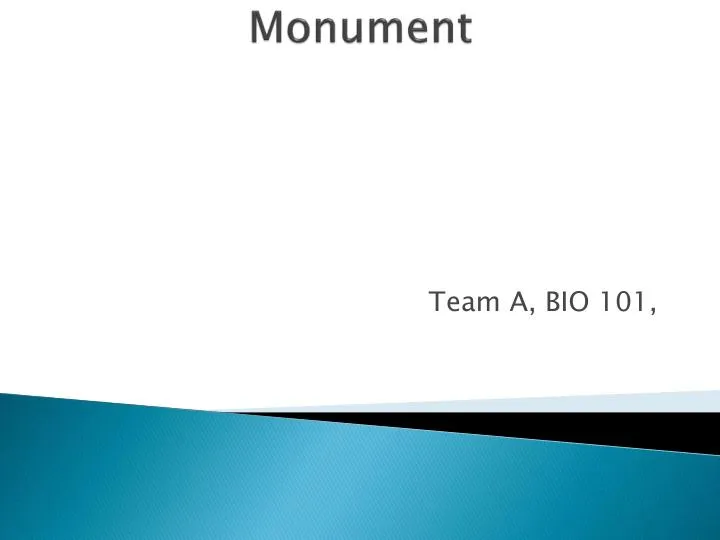 Assignment #3 � XLM C - COIS-3380, Management Info Sys, Summer 2015