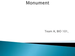 Assignment #3 � XLM C - COIS-3380, Management Info Sys, Summer 2015