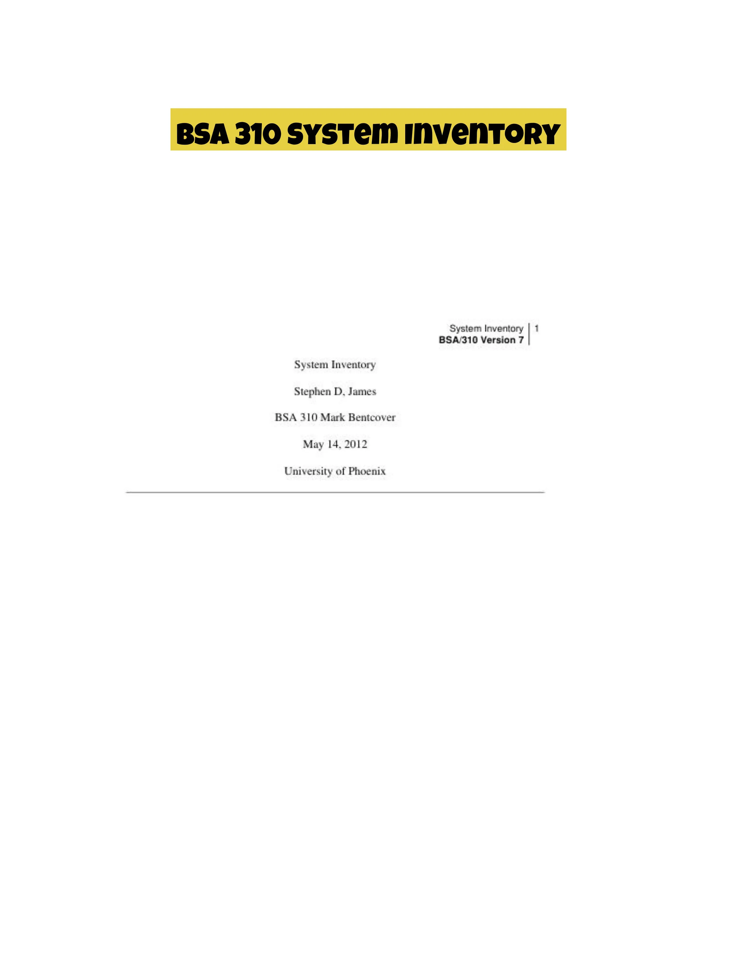 BSA 310 System Inventory