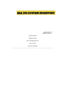 BSA 310 System Inventory