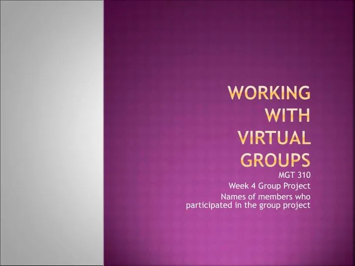 Final Global Business Plan Presentation - MGT 448