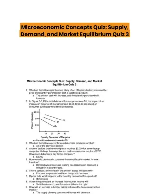 Microeconomic Concepts Quiz: Supply, Demand, and Market Equilibrium Quiz 3