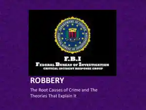 Robbery: The Root Causes Of Crime And The Theories That Explain It
