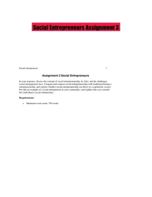 Social Entrepreneurs Assignment 3