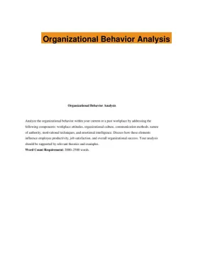 Organizational Behavior Analysis
