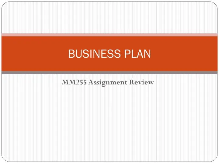 MM255 Assignment Review Business Plan