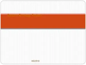 System Strategy Project HCI/510