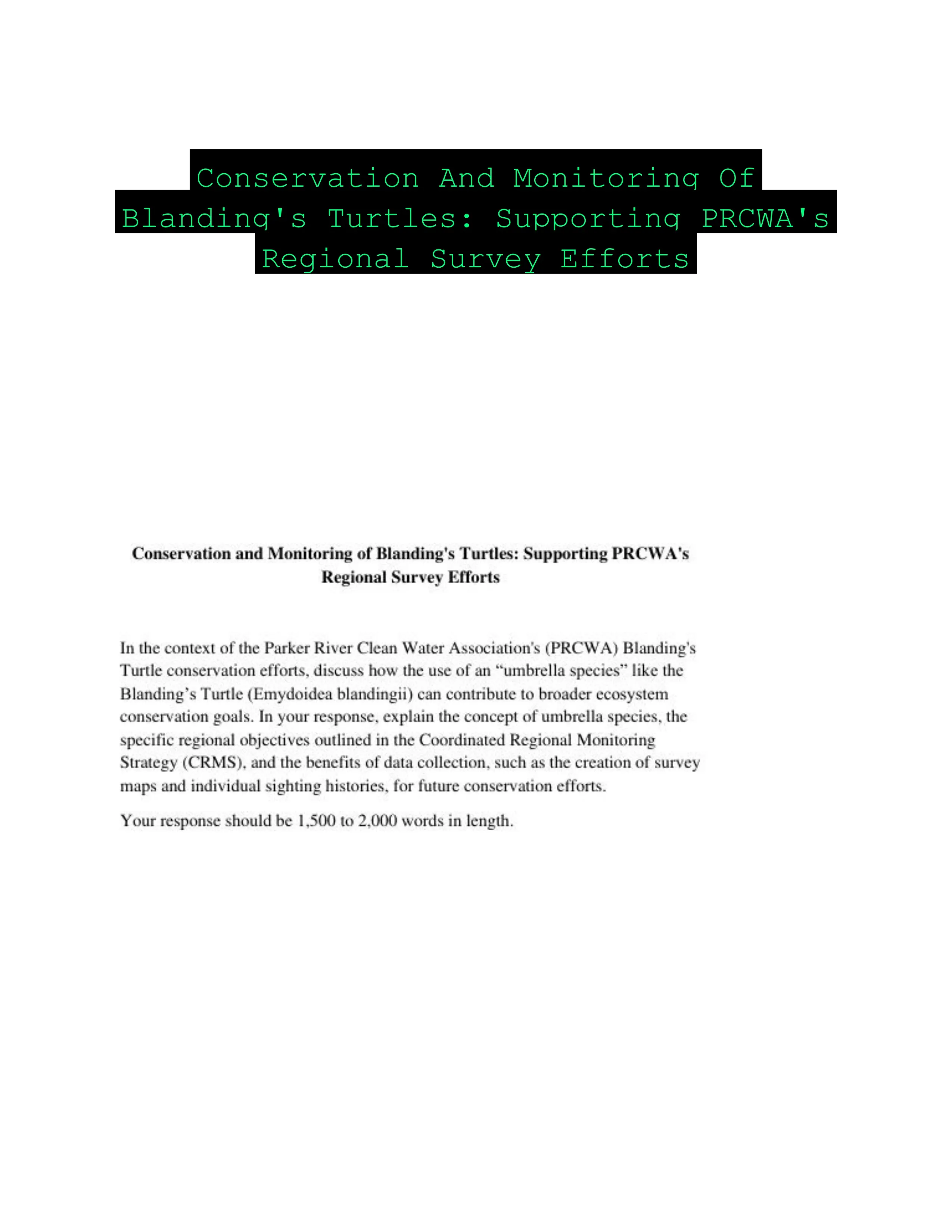 Conservation And Monitoring Of Blanding's Turtles: Supporting PRCWA's Regional Survey Efforts