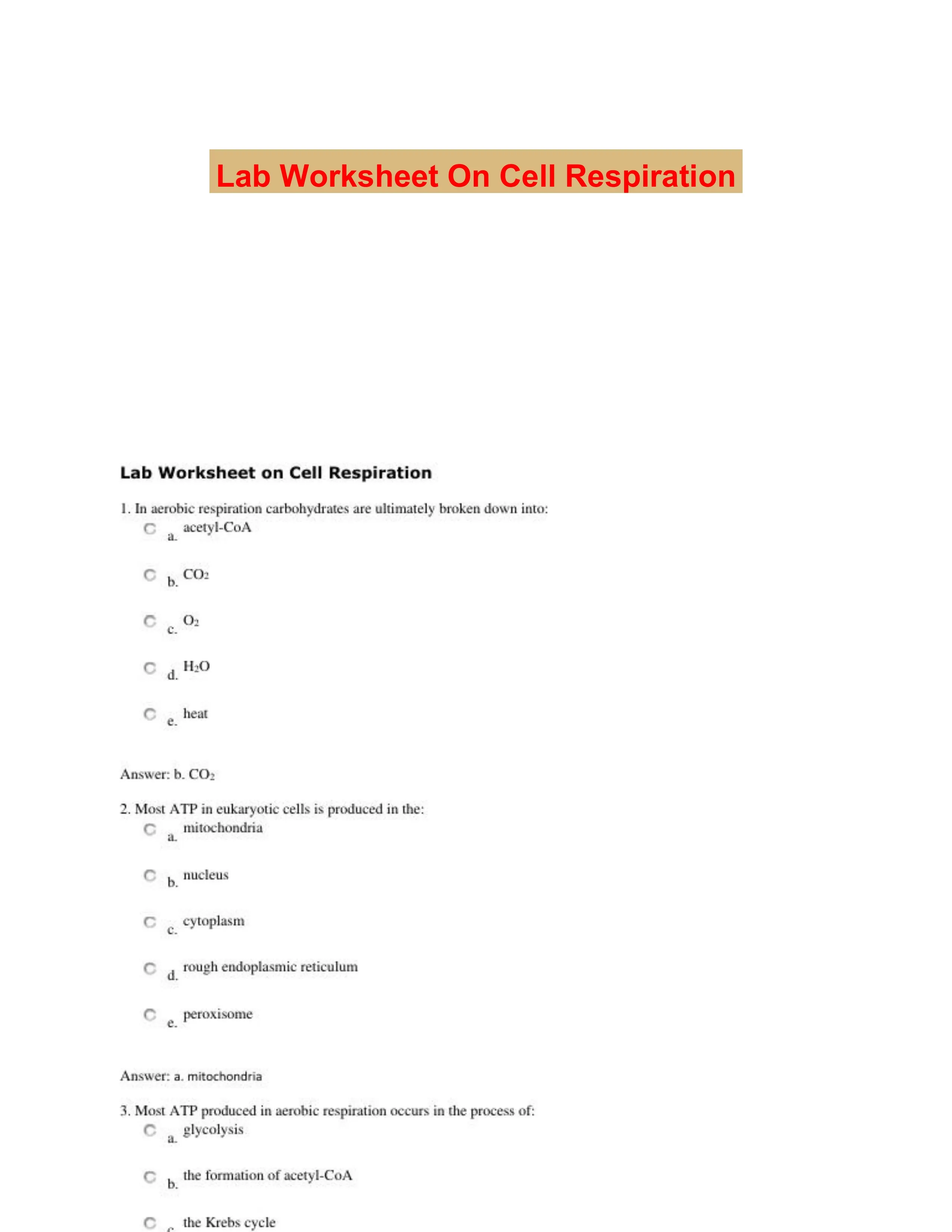 Lab Worksheet On Cell Respiration