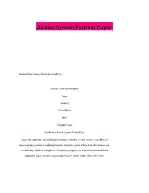 Justice System Position Paper