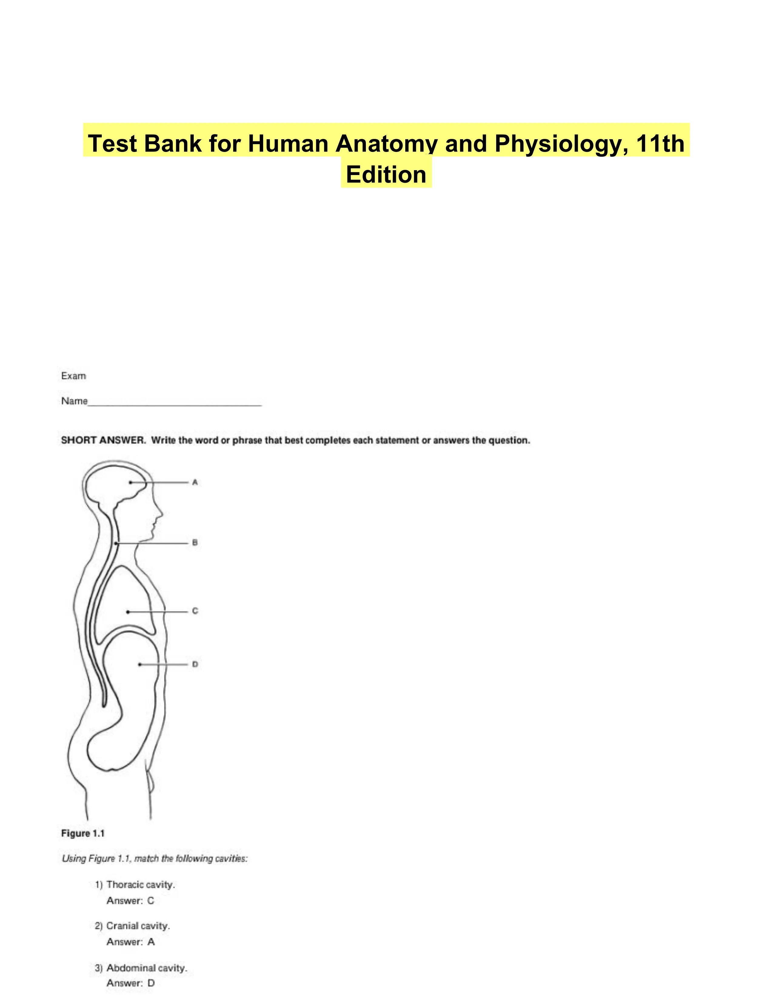 Test Bank for Human Anatomy and Physiology, 11th Edition