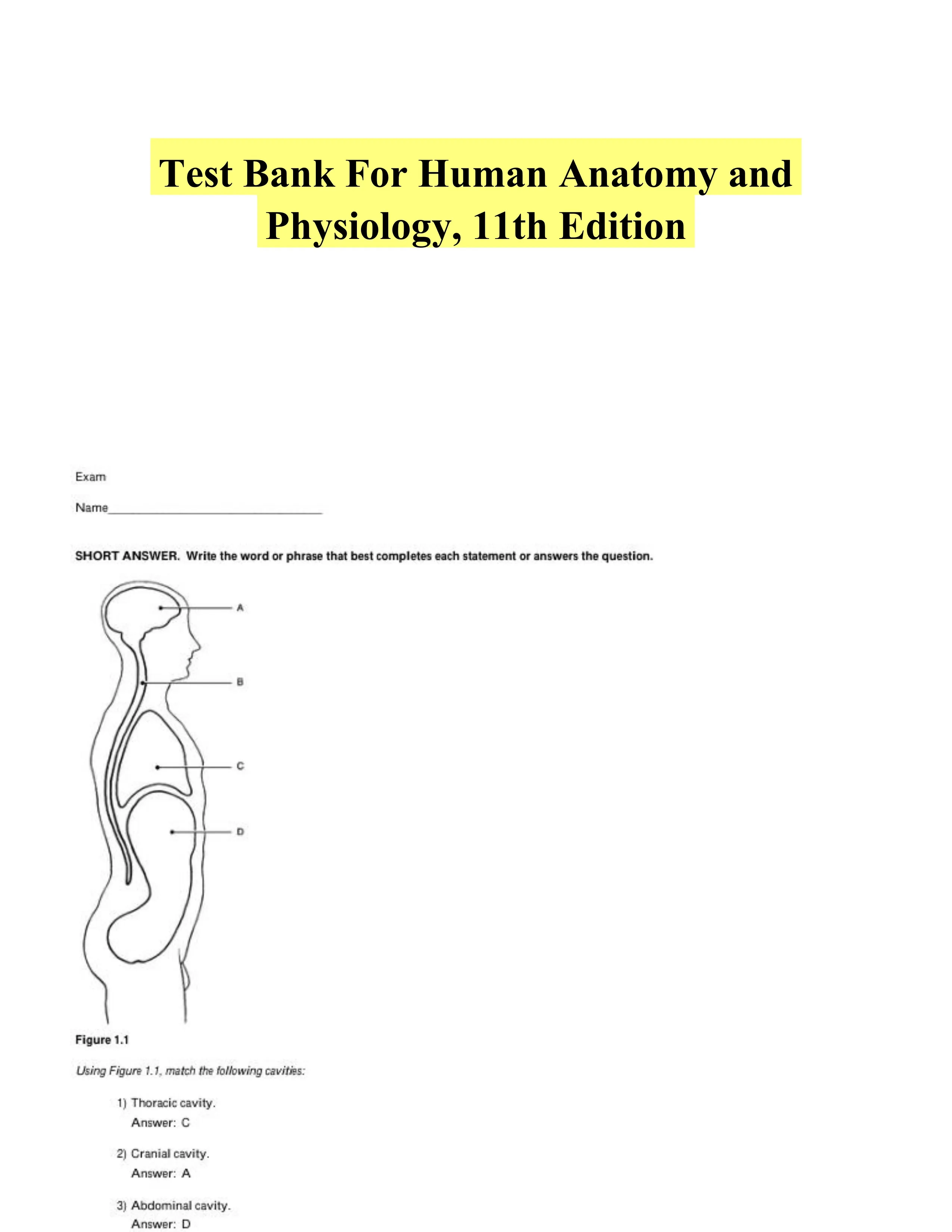 Test Bank For Human Anatomy and Physiology, 11th Edition