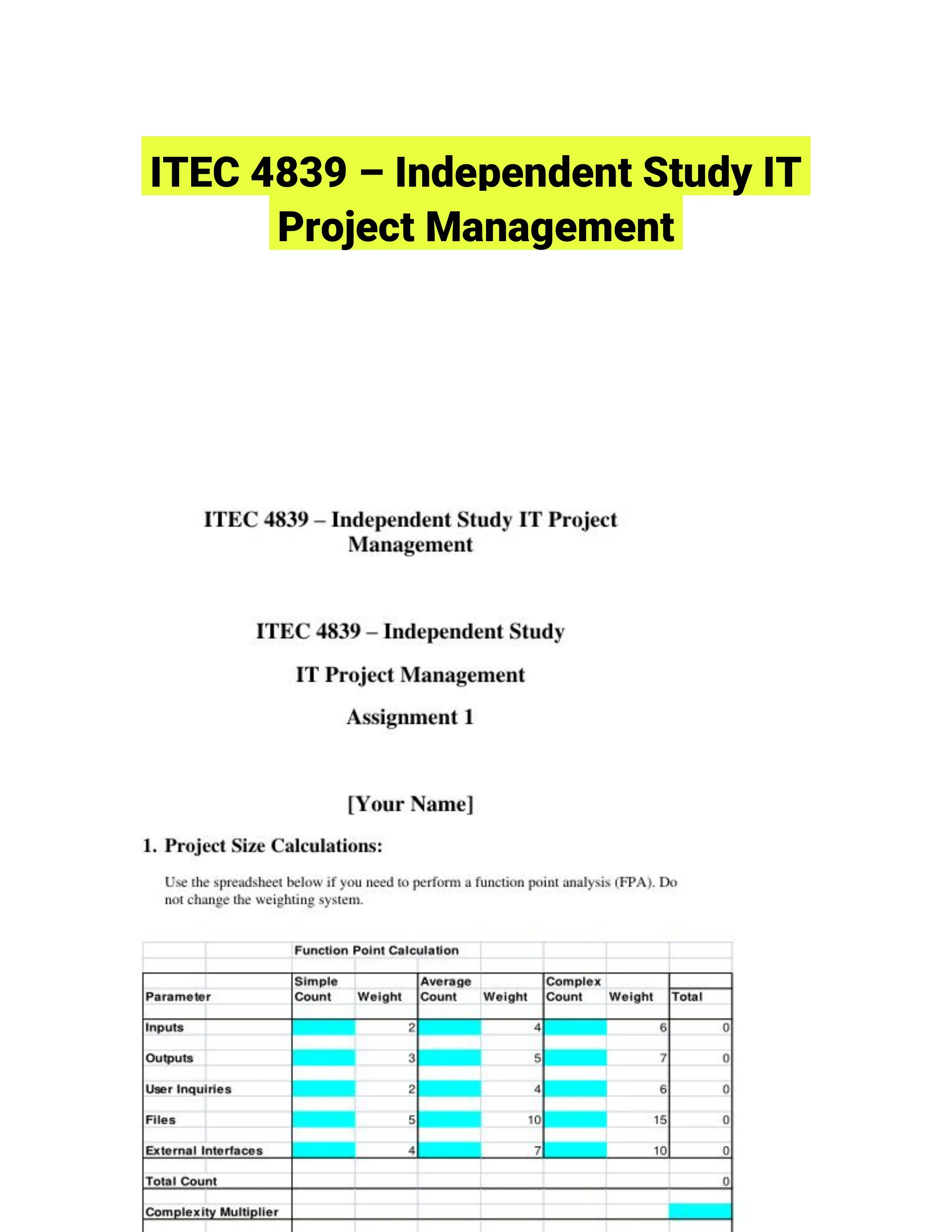 ITEC 4839 � Independent Study IT Project Management