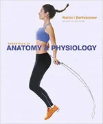 Essentials Of Anatomy And Physiology by Frederic H. Martini, Edwin F. Bartholomew - Image 1
