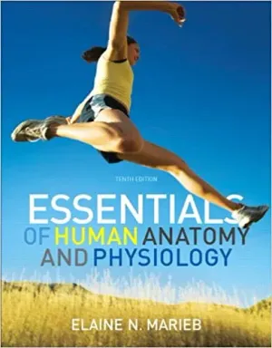 Cover of Essentials Of Human Anatomy And Physiology by Elaine N. Marieb, Suzanne M. Keller