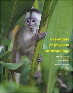 Cover of Essentials Of Physical Anthropology by Robert Jurmain, Lynn Kilgore, Wenda Trevathan, Eric Bartelink