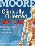Clinically Oriented Anatomy by Keith L. Moore, Anne M. R. Agur, Arthur F. Dalley - Image 1