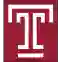 Temple University