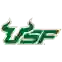 University of South Florida