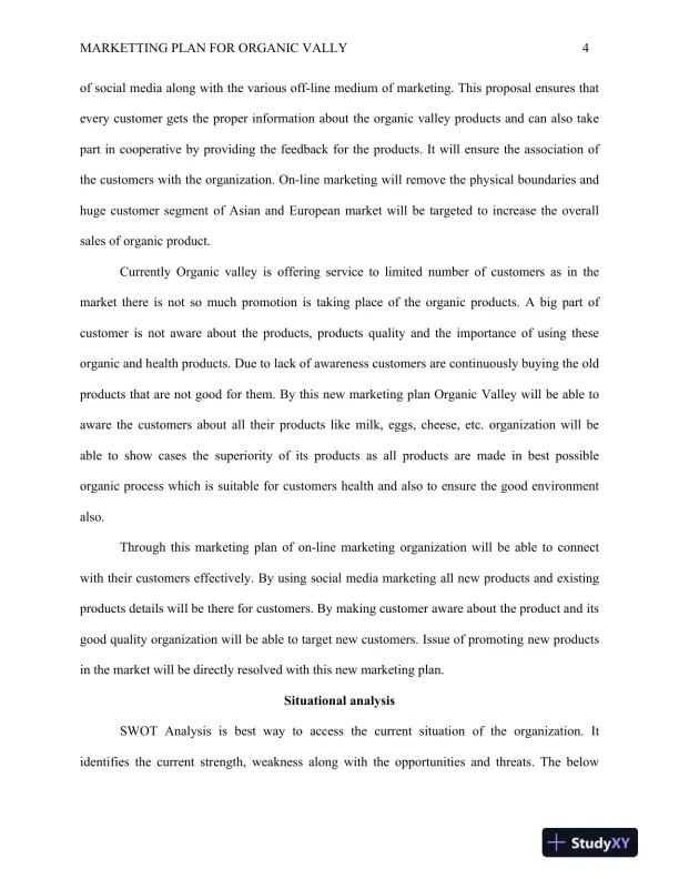 Marketting Plan For Organic Vally - Page 5 preview image