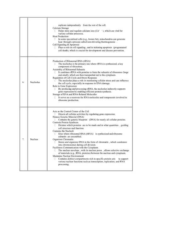 Assessment Task 1 - Page 8 preview image