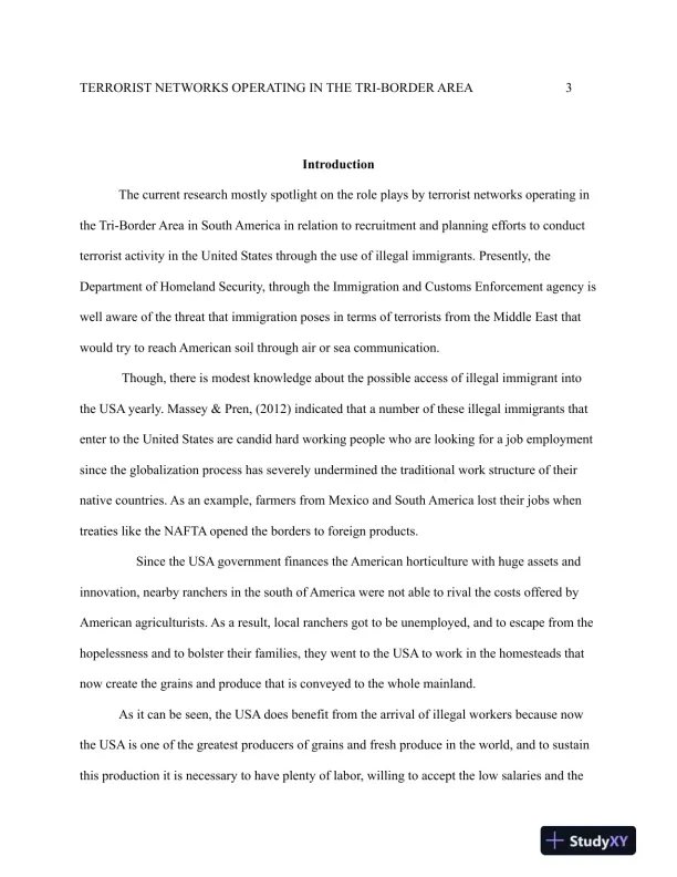 HSM 497 Terrorist Networks Operating in the Tri-Border Area - Page 4 preview image