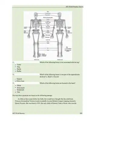ATI TEAS 7 Comprehensive Practice Exam - Page 13 preview image