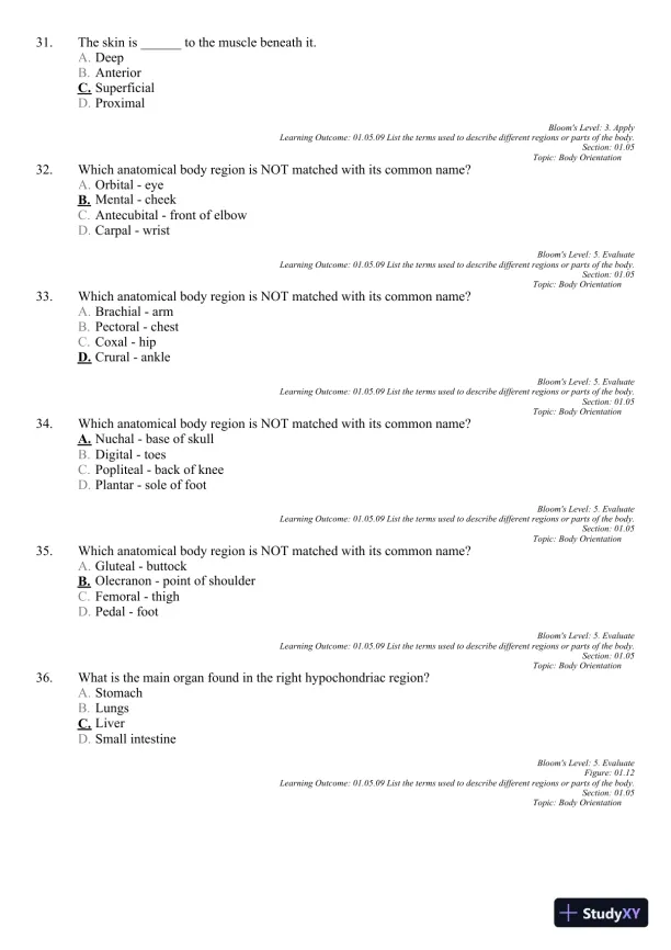 Seeley's Principles of Anatomy and Physiology 2nd Edition Test Bank - Page 14 preview image