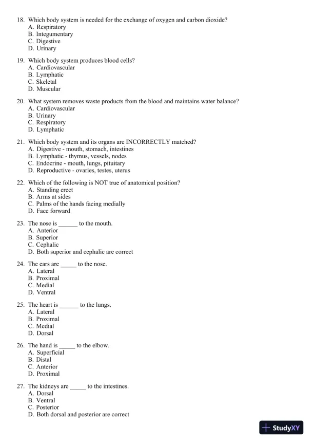 Seeley's Principles of Anatomy and Physiology 2nd Edition Test Bank - Page 4 preview image