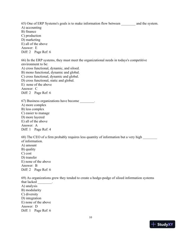 Test Bank For Enterprise Systems For Management, 2nd Edition - Page 11 preview image