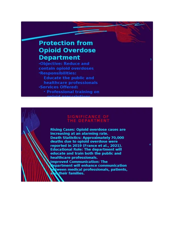 MHACB599 Video Presentation - Page 2 preview image
