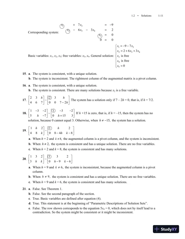 Solution Manual for Linear Algebra and Its Applications, 5th Edition - Page 13 preview image
