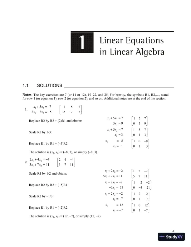 Solution Manual for Linear Algebra and Its Applications, 5th Edition - Page 3 preview image
