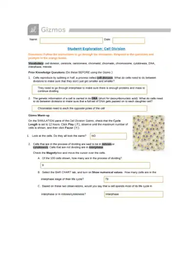 Cell Division Gizmo-Exploring the Stages and Signi - Page 1 preview image