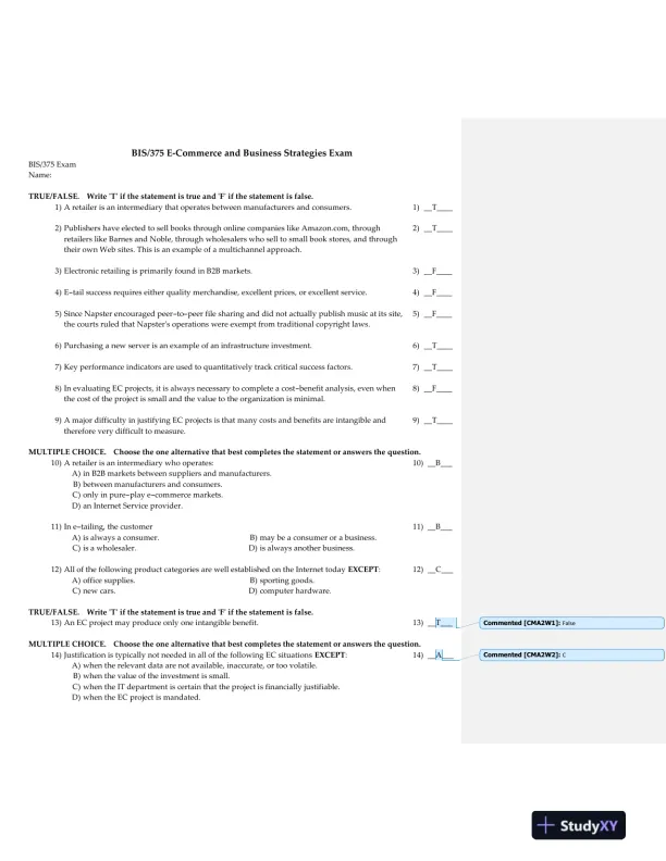 BIS/375 E-Commerce and Business Strategies Exam - Page 1 preview image