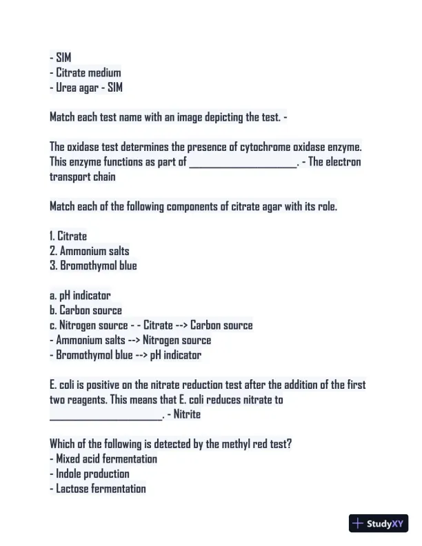Microbiology Lab Final Study guide with Answers (115 Solved Questions) - Page 9 preview image