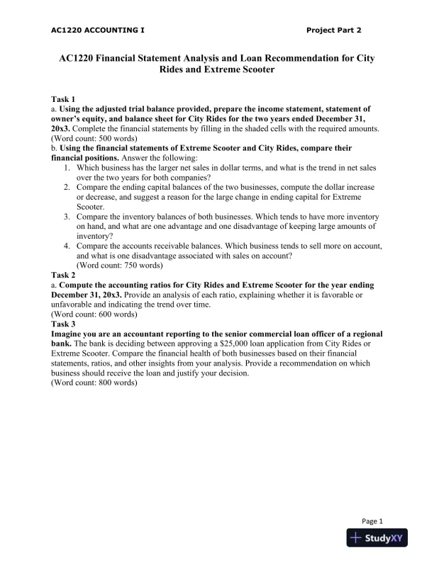 AC1220 Financial Statement Analysis and Loan Recommendation for City Rides and Extreme Scooter - Page 1 preview image